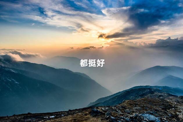 都挺好