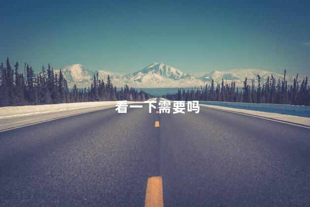 看一下需要吗