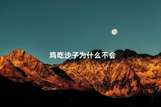 鸡吃沙子为什么不会
