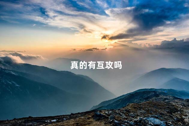 真的有互攻吗