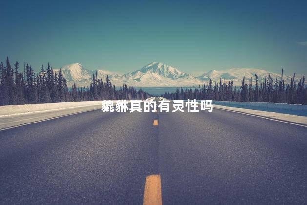 貔貅真的有灵性吗