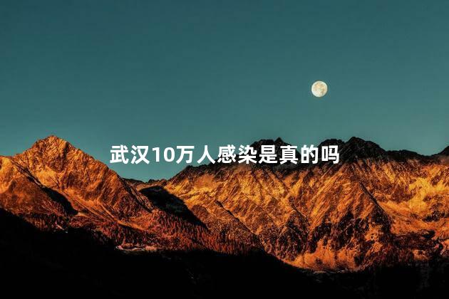 武汉10万人感染是真的吗