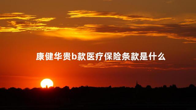 康健华贵b款医疗保险条款是什么