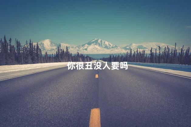 你很丑没人要吗