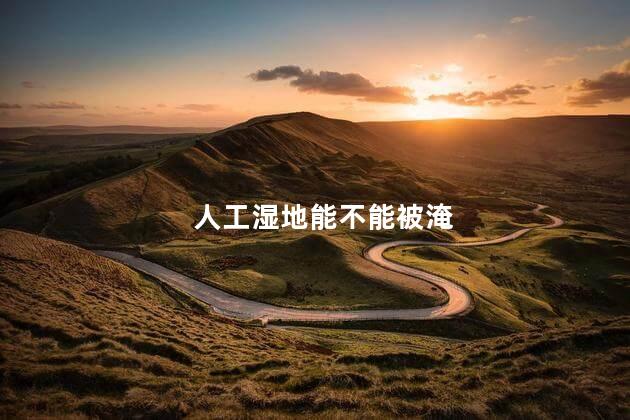 人工湿地能不能被淹