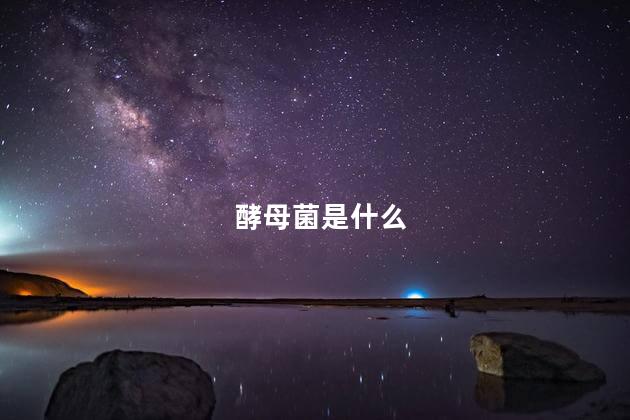 酵母菌是什么
