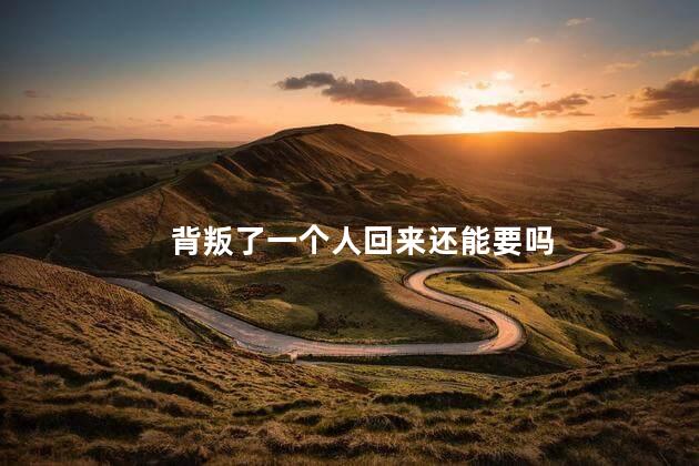 背叛了一个人回来还能要吗