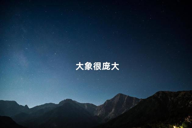 大象很庞大