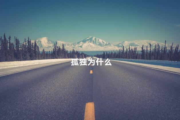 孤独为什么