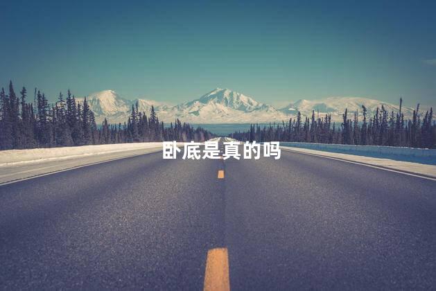 卧底是真的吗