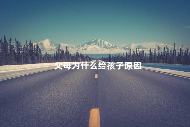 父母为什么给孩子原因