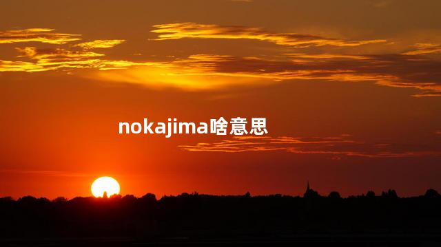 nokajima啥意思