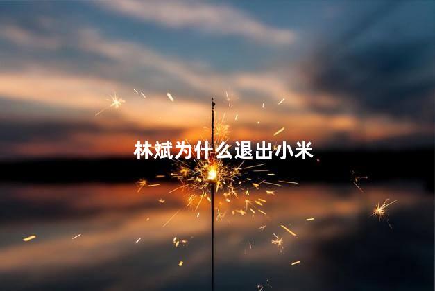 林斌为什么退出小米