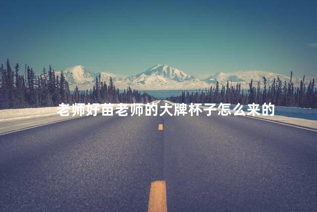 老师好苗老师的大牌杯子怎么来的