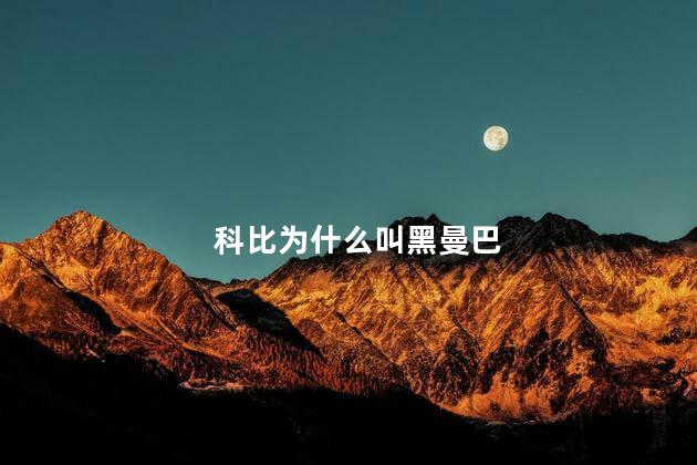 科比为什么叫黑曼巴