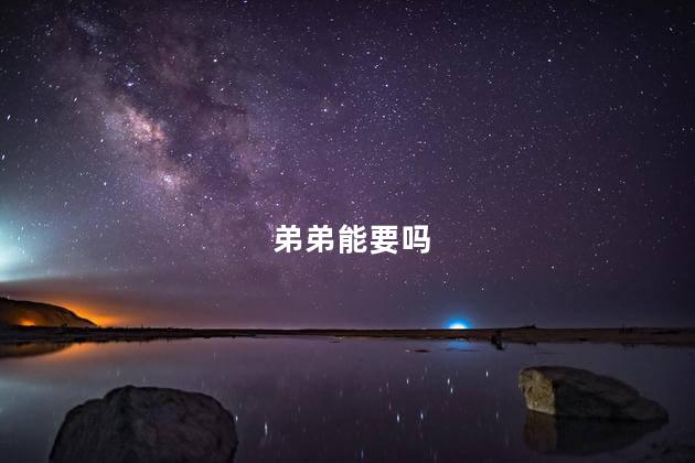 弟弟能要吗