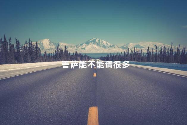 菩萨能不能请很多