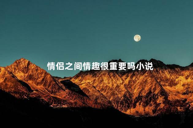 情侣之间情趣很重要吗小说
