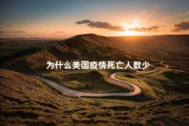 为什么美国疫情死亡人数少