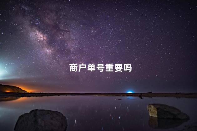 商户单号重要吗