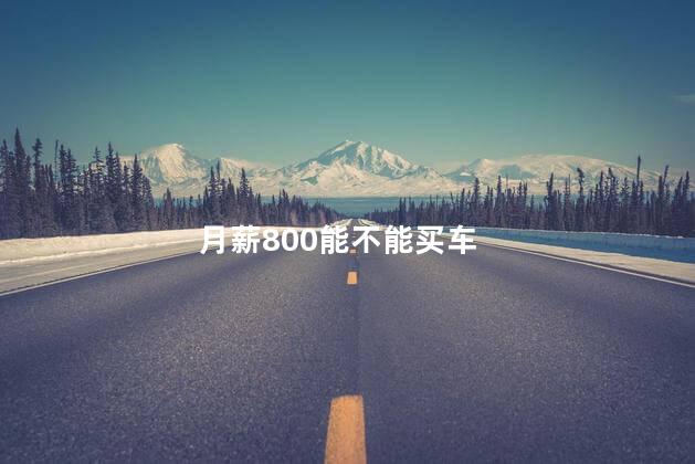 月薪800能不能买车