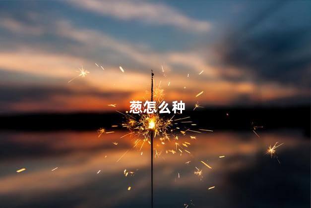 葱怎么种