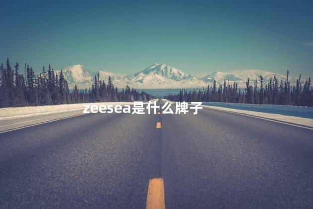 zeesea是什么牌子