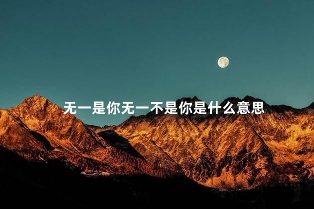 无一是你无一不是你是什么意思