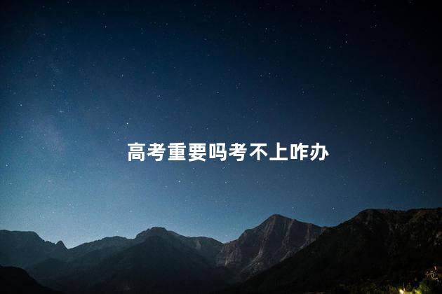 高考重要吗考不上咋办