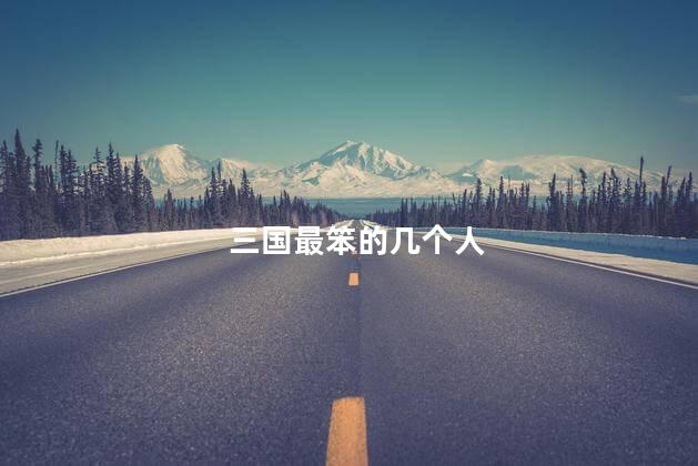 三国最笨的几个人