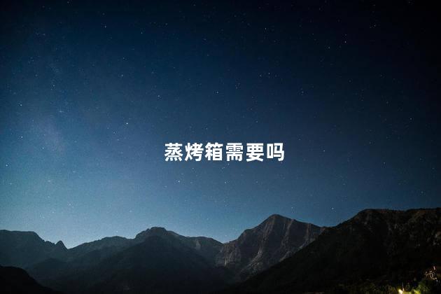 蒸烤箱需要吗