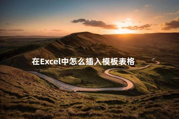 在Excel中怎么插入模板表格