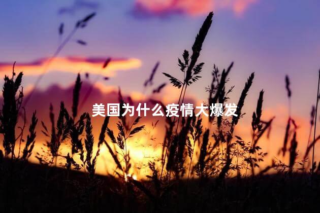 美国为什么疫情大爆发