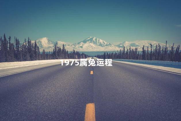 1975属兔运程