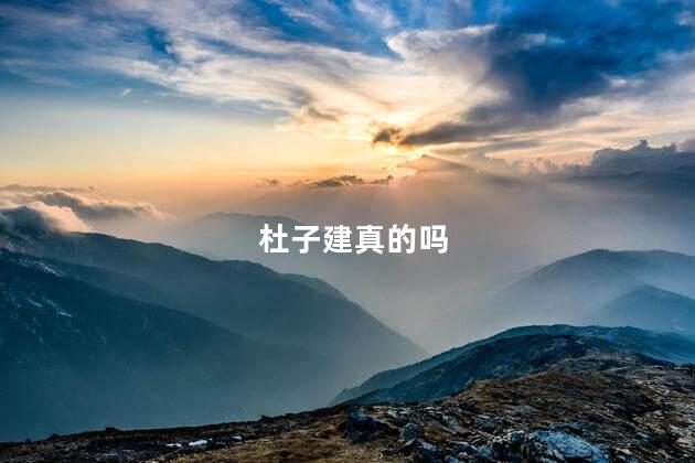 杜子建真的吗