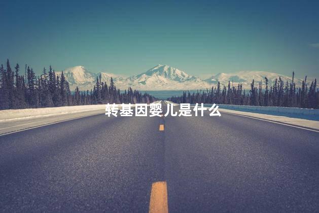 转基因婴儿是什么