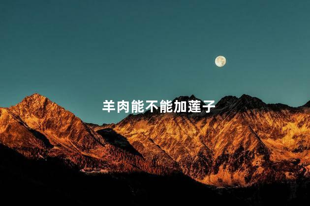 羊肉能不能加莲子