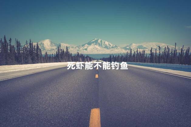 死虾能不能钓鱼