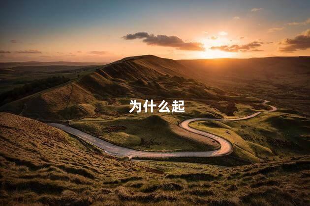 为什么起