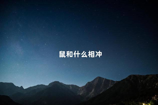 鼠和什么相冲