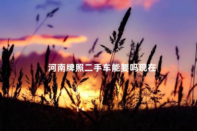 河南牌照二手车能要吗现在