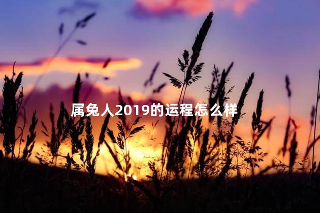 属兔人2019的运程怎么样