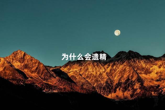 为什么会遗精
