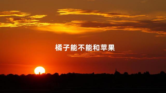 橘子能不能和苹果