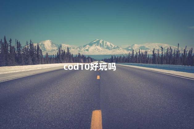 cod10好玩吗