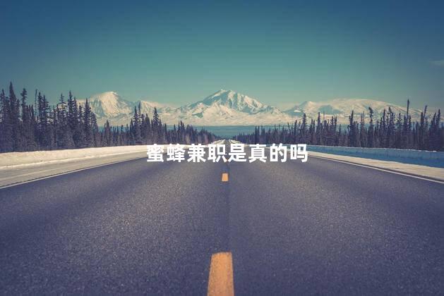 蜜蜂兼职是真的吗
