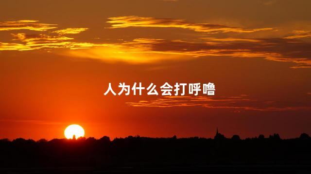 人为什么会打呼噜