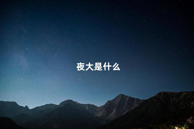 夜大是什么