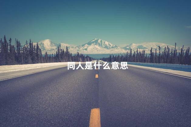 同人是什么意思