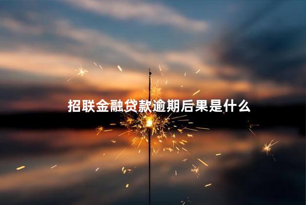 招联金融贷款逾期后果是什么